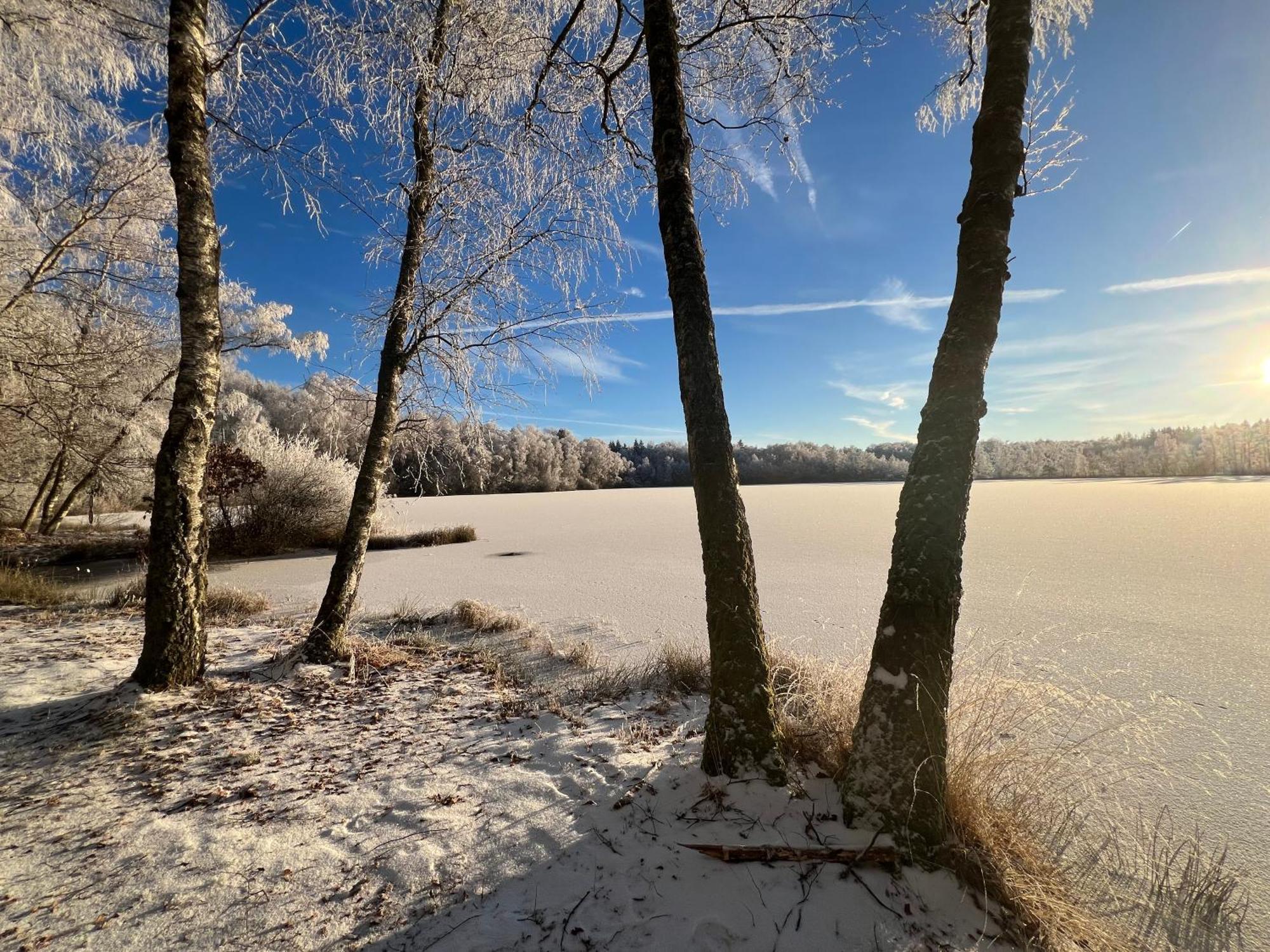 Apartmán Aux Songes D'Elise Belmont  Exteriér fotografie