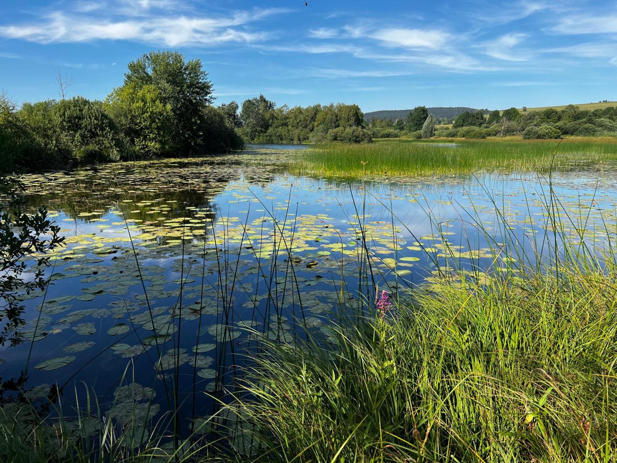 Apartmán Aux Songes D'Elise Belmont  Exteriér fotografie