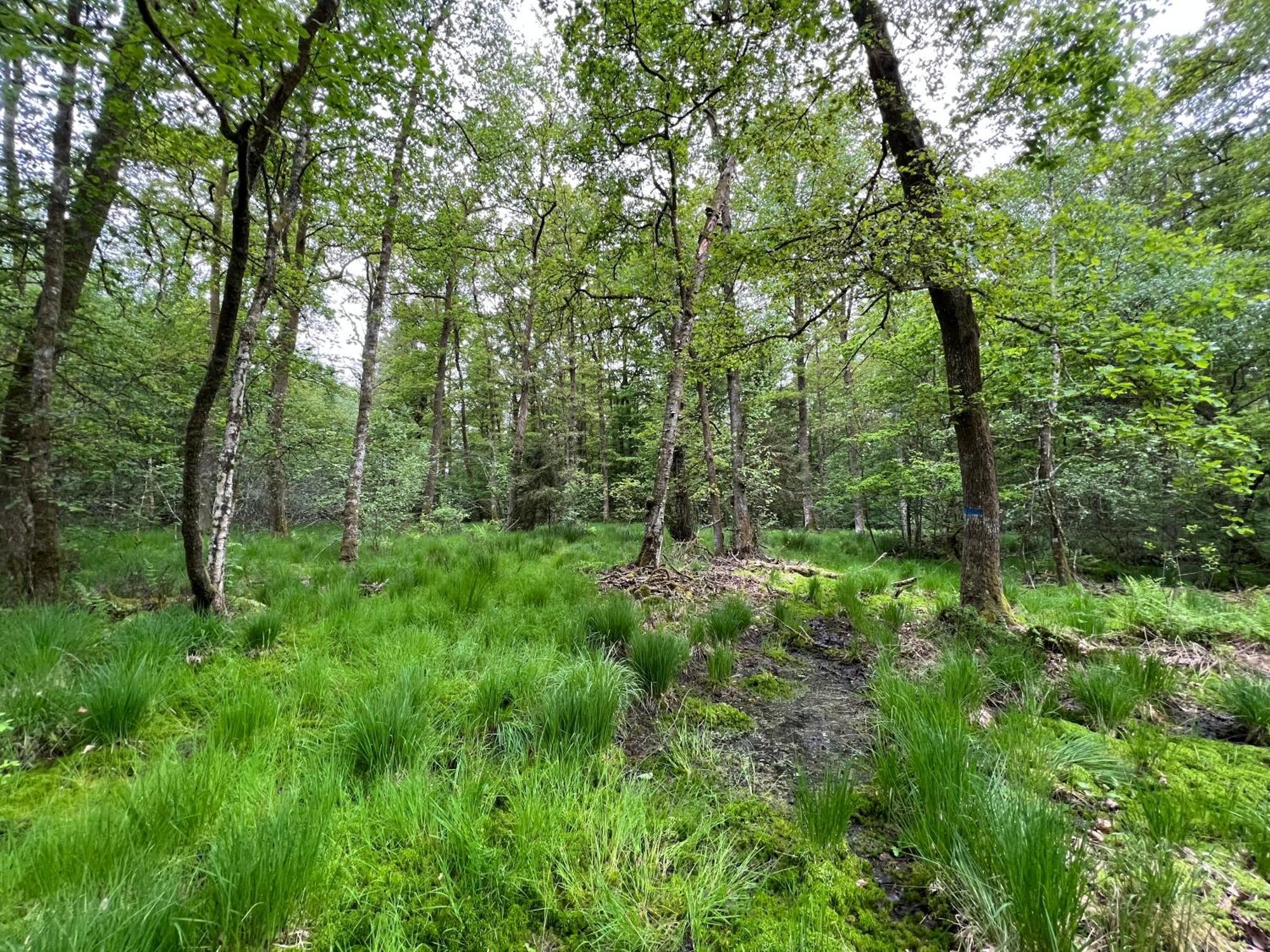 Apartmán Aux Songes D'Elise Belmont  Exteriér fotografie