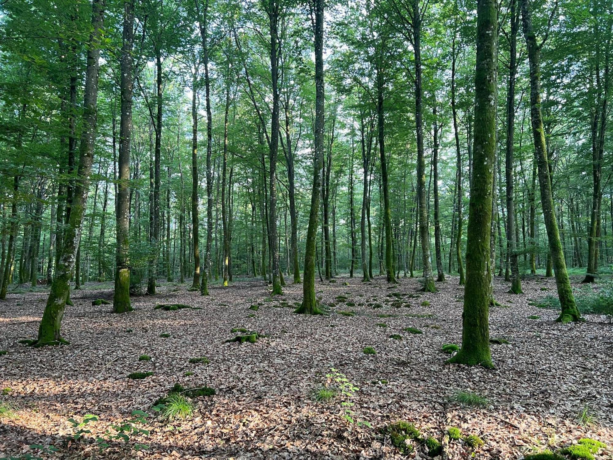 Apartmán Aux Songes D'Elise Belmont  Exteriér fotografie