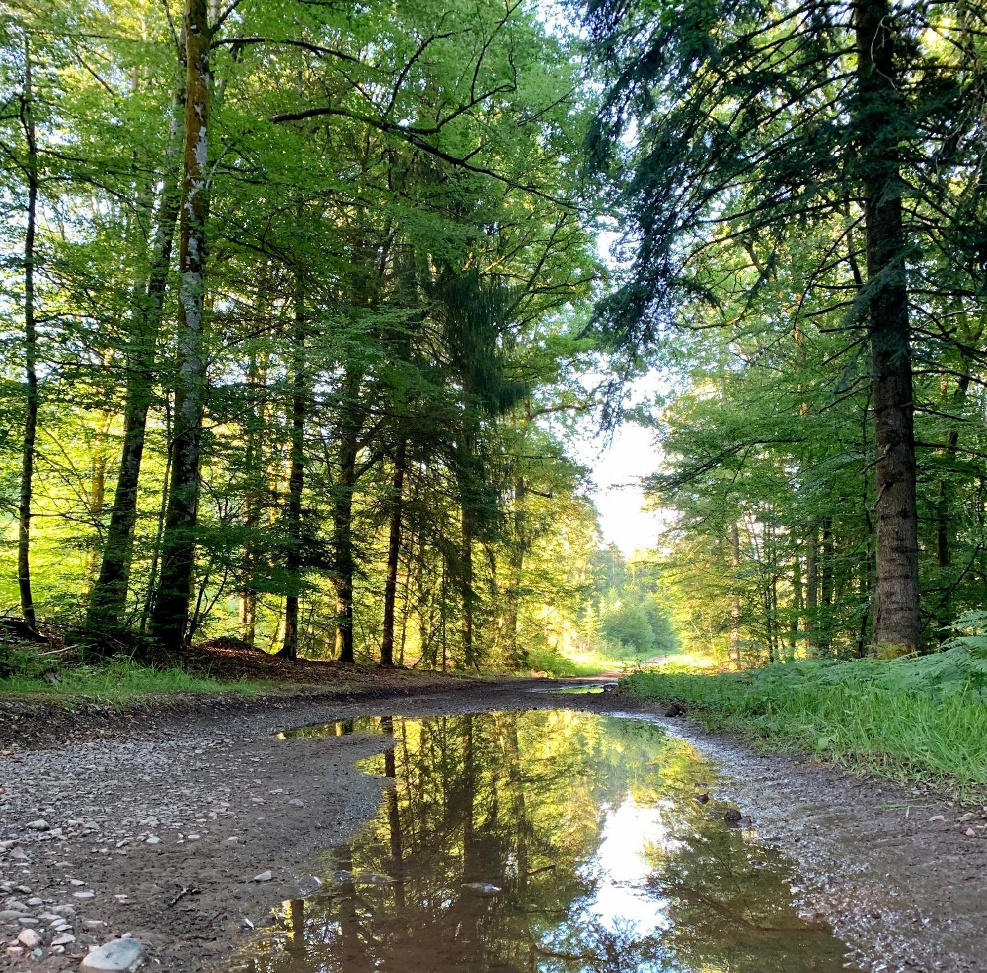 Apartmán Aux Songes D'Elise Belmont  Exteriér fotografie